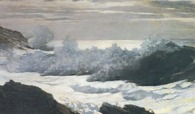 Winslow Homer Early Morning After a Storm at Sea (mk44) Norge oil painting art